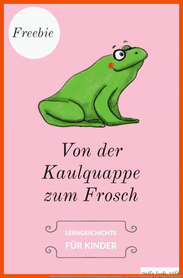 Prinzessin BlaublÃ¼te lernt: Von der Kaulquappe zum Frosch ... für von der kaulquappe zum frosch arbeitsblatt