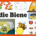 Projekt Bienen Kindergarten Und Kita-ideen Fuer Arbeitsblatt Biene Kindergarten