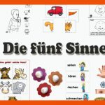 Projekt Die Fuenf Sinne Kindergarten Und Kita-ideen Fuer Arbeitsblätter 5 Sinne Kindergarten