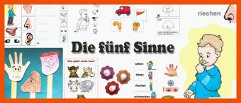 Arbeitsblätter 5 Sinne Kindergarten