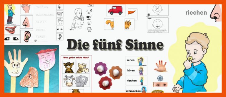 Projekt die fuenf Sinne Kindergarten und Kita-Ideen für arbeitsblätter 5 sinne kindergarten