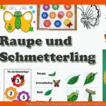 Projekt Schmetterling Und Raupe Kindergarten Und Kita-ideen Fuer Symmetrie Schmetterling Arbeitsblatt