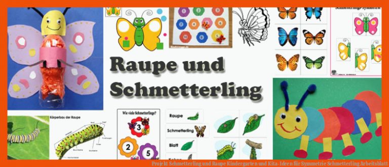 Projekt Schmetterling und Raupe Kindergarten und Kita-Ideen für symmetrie schmetterling arbeitsblatt