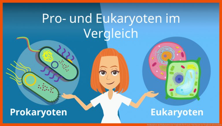 Prokaryoten und Eukaryoten im Vergleich für procyte und eucyte im vergleich arbeitsblatt