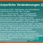 Pubertt Und Adoleszenz Das Jugendalter Wie Aus Kindern Fuer Körperliche Veränderungen In Der Pubertät Arbeitsblatt