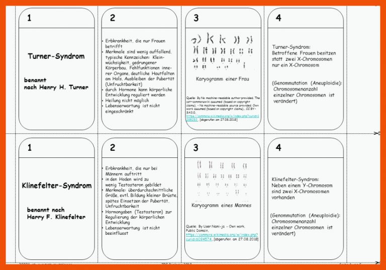 Quartett für karyogramm des menschen arbeitsblatt