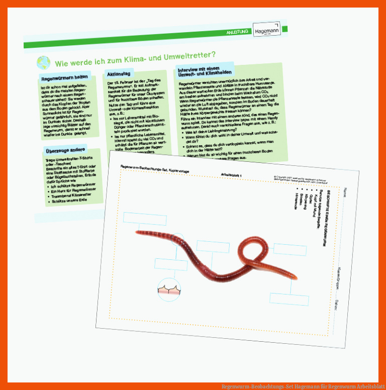 Regenwurm-Beobachtungs-Set | Hagemann für regenwurm arbeitsblatt