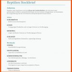 Reptilien - Die Wichtigsten Infos Ã¼ber SchildkrÃ¶ten, Schlangen Und ... Fuer Arbeitsblatt Kriechtiere Klasse 5