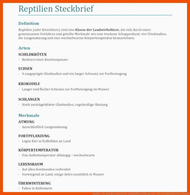 Reptilien - Die wichtigsten Infos Ã¼ber SchildkrÃ¶ten, Schlangen und ... für arbeitsblatt kriechtiere klasse 5