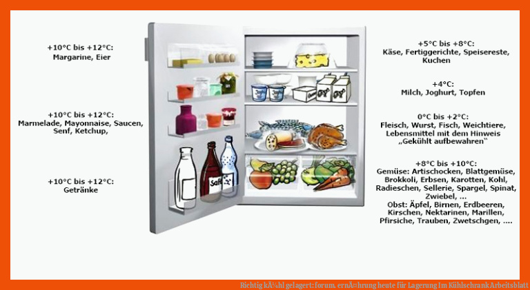 Richtig kÃ¼hl gelagert: forum. ernÃ¤hrung heute für lagerung im kühlschrank arbeitsblatt