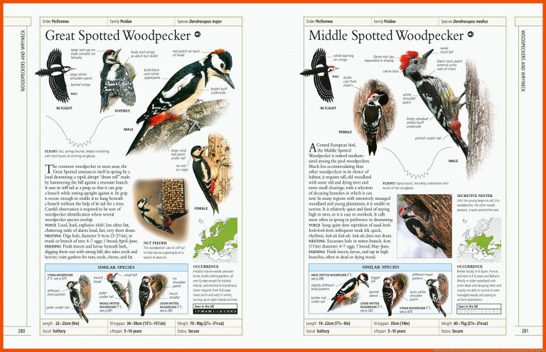RSPB Complete Birds of Britain and Europe: Includes Bird Sounds ... für arbeitsblätter biologie vögel kostenlos