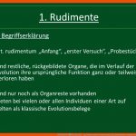 RudimentÃre organe. - Ppt Video Online Herunterladen Fuer Rudimentäre organe Des Menschen Arbeitsblatt