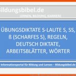 S-laute S, Ss, Ã, Scharfes S, Regeln, Deutsch Diktate Fuer Deutsch 5 Klasse Hauptschule Arbeitsblätter