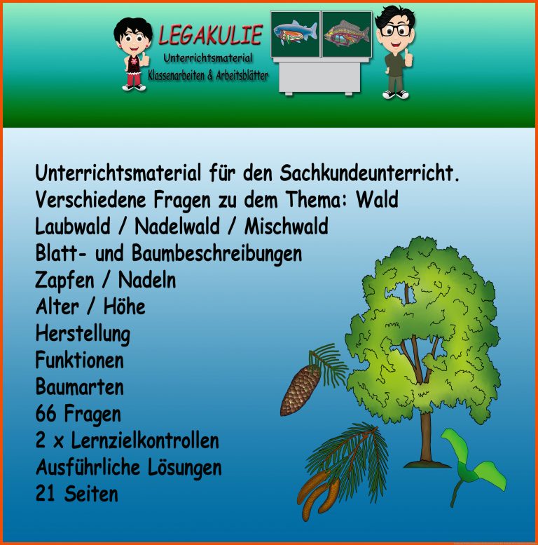 Sachkunde Wald Lernzielkontrolle Klassenarbeit Fuer Der Wald Hat Viele Funktionen Arbeitsblatt