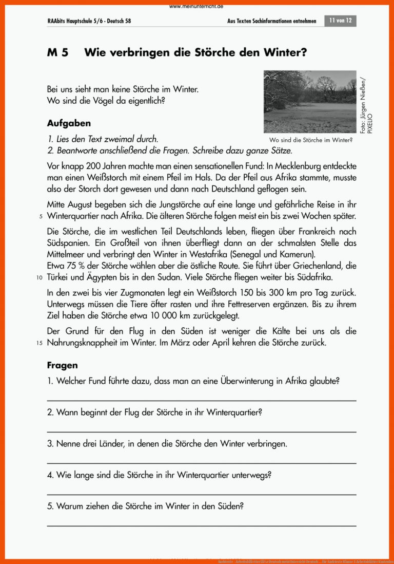 Sachtexte - ArbeitsblÃ¤tter FÃ¼r Deutsch Meinunterricht Deutsch ... Fuer Sachtexte Klasse 5 Arbeitsblätter Kostenlos