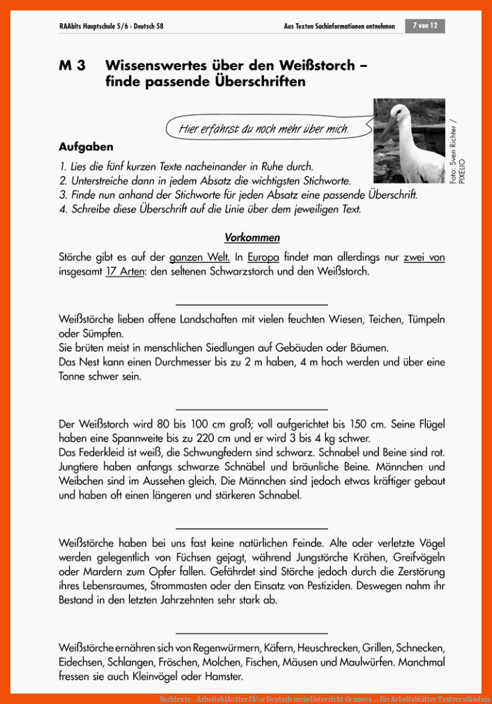 Sachtexte - ArbeitsblÃ¤tter fÃ¼r Deutsch | meinUnterricht | Genaues ... für arbeitsblätter textverständnis