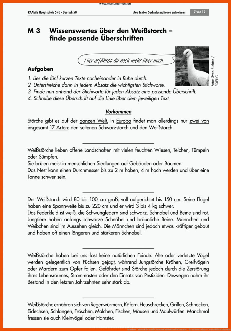Sachtexte - ArbeitsblÃ¤tter fÃ¼r Deutsch | meinUnterricht | Genaues ... für sachtexte klasse 5 arbeitsblätter kostenlos
