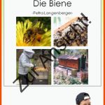 Sachunterricht - Die Biene by Marion Hantschel - issuu Fuer Bienentanz Arbeitsblatt