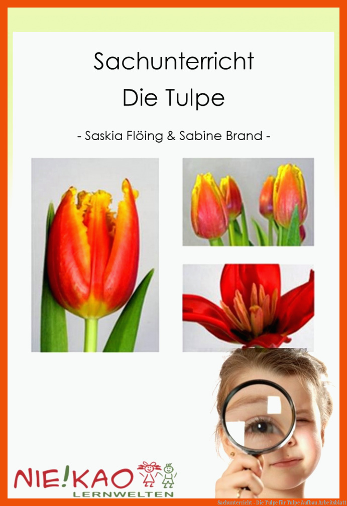 Sachunterricht - Die Tulpe für tulpe aufbau arbeitsblatt