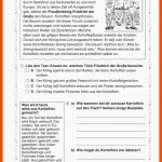 Sachunterricht Kartoffel Fuer Kartoffel Grundschule Arbeitsblätter Kostenlos