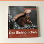 Sachunterricht - Unterrichtsmaterialien - Lehrer24.de Fuer Arbeitsblatt Eichhörnchen Beschriften
