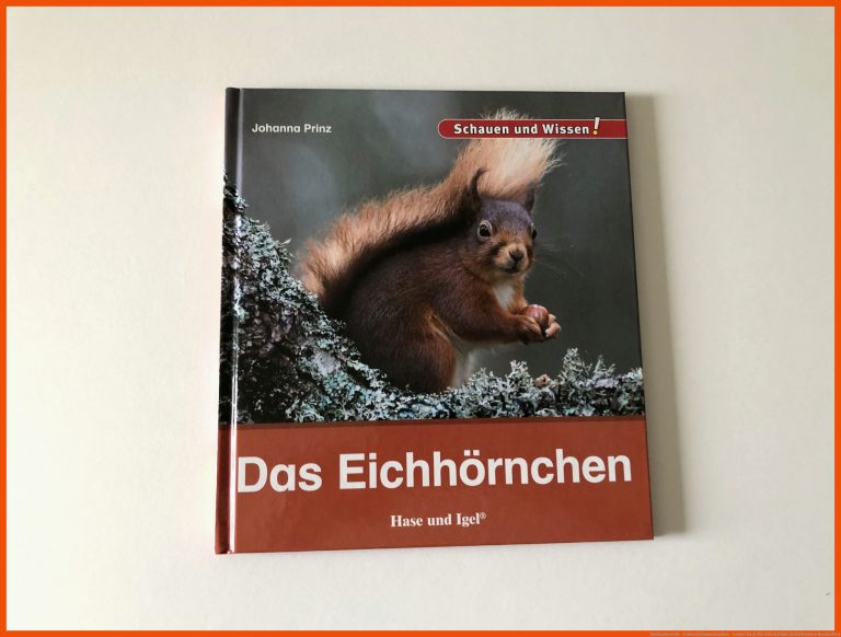 Sachunterricht - Unterrichtsmaterialien - Lehrer24.de für arbeitsblatt eichhörnchen beschriften