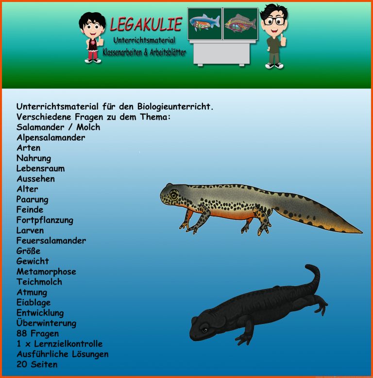 Salamander - Molch Biologie Ãbungen Lernzielkontrolle PDF für wirbeltiere arbeitsblatt pdf