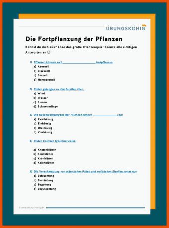 8 Sind Pflanzen Lebewesen Arbeitsblatt