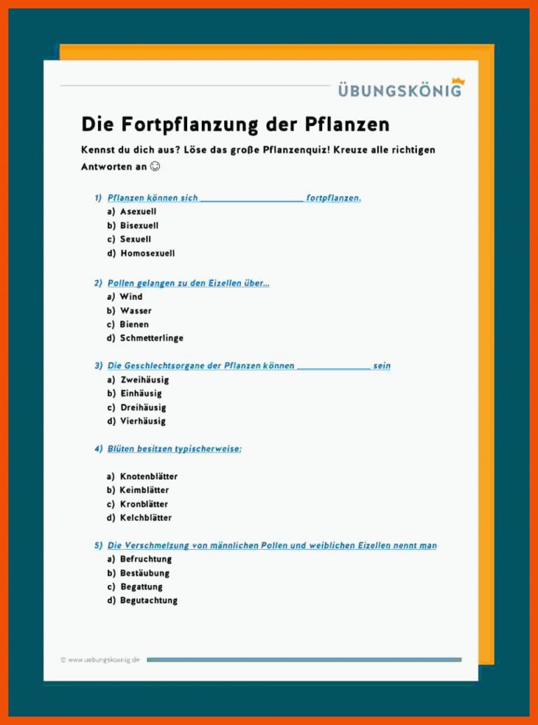 Samenpflanzen als Lebewesen für sind pflanzen lebewesen arbeitsblatt