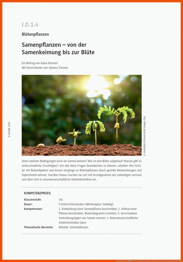 Samenpflanzen â Von Der Samenkeimung Bis Zur BlÃ¼te Fuer Blütendiagramm Arbeitsblatt