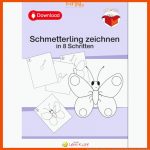 Schmetterling Zeichnen In 8 Schritten Fuer Zirkeltraining Arbeitsblätter