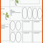 Schulentwicklung Nrw - Inklusiver Fachunterricht - Zu Den ... Fuer Aufbau Eines Chromosoms Arbeitsblatt