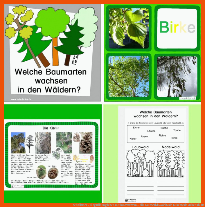 Schulkater - Blog | Bildung leben mit innovativem ... für laubwald nadelwald mischwald arbeitsblatt