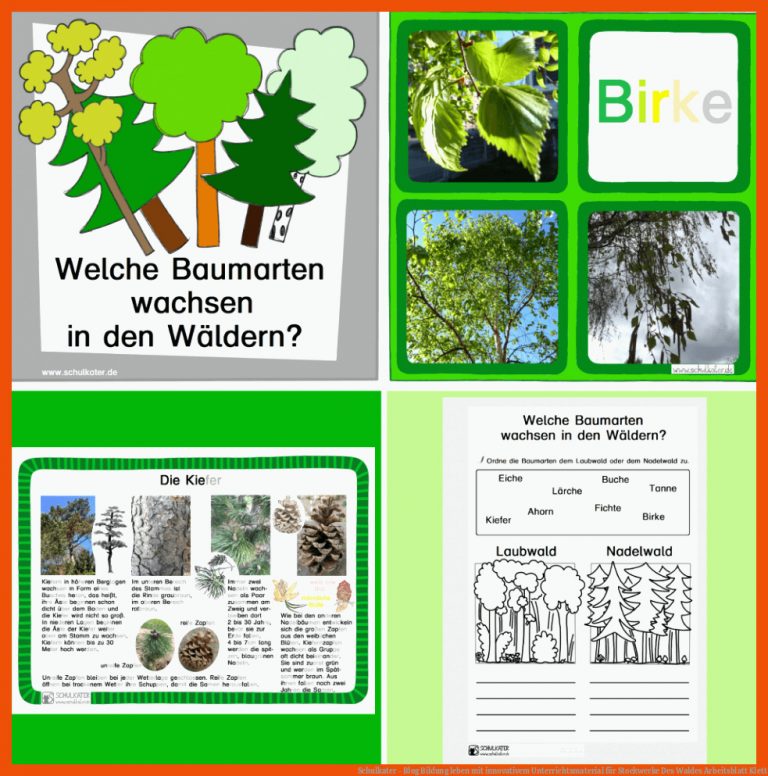 Schulkater - Blog Bildung Leben Mit Innovativem Unterrichtsmaterial Fuer Stockwerke Des Waldes Arbeitsblatt Klett
