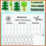 Schulkater - Blog Bildung Leben Mit Innovativem Unterrichtsmaterial Fuer Vom Baum Zum Papier Arbeitsblatt