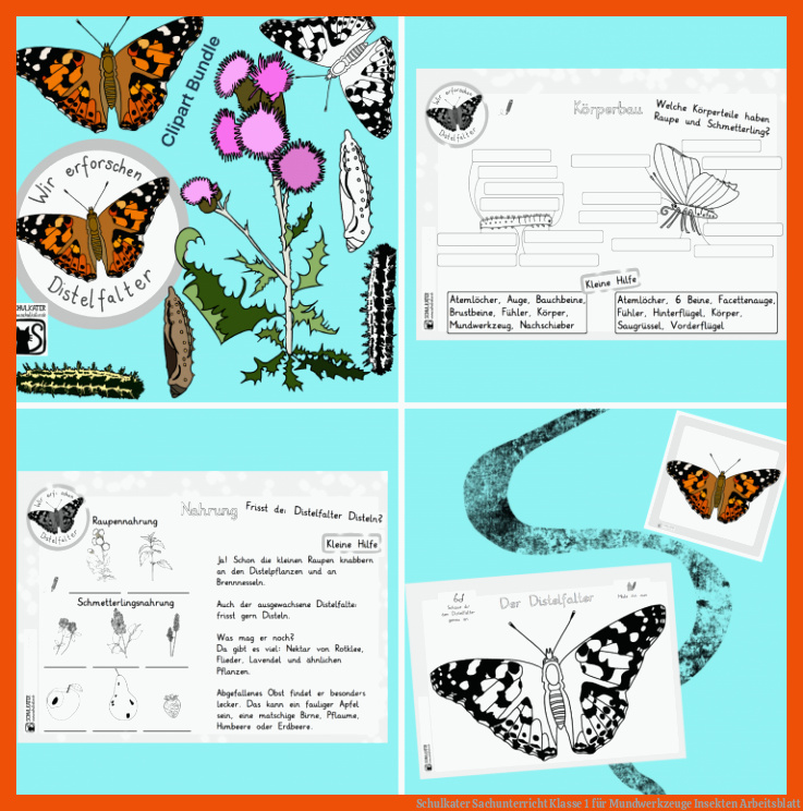 Schulkater | Sachunterricht Klasse 1 für mundwerkzeuge insekten arbeitsblatt