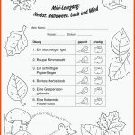 Schwerpunkte Fuer Kostenlose Arbeitsblätter Arbeitsblätter Herbst Kindergarten