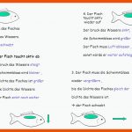 Schwimmen Und Schweben Dichte Und Schwimmblase - Ppt Video Online ... Fuer Schwimmblase Fisch Arbeitsblatt