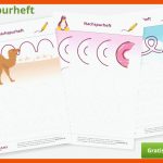 SchwungÃ¼bungen FÃ¼r Die Vorschule ~ Pdf Zum Ausdrucken ~ Kostenlos Fuer Ausdrucken Vorschule Arbeitsblätter Kostenlos Schwungübungen