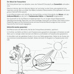 Sekundarstufe Unterrichtsmaterial Biologie Fuer Arbeitsblätter Biologie Blütenpflanzen Klett Lösungen