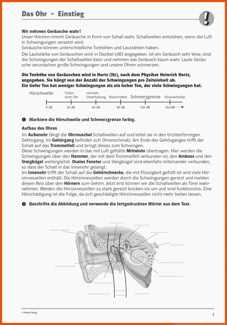 Sekundarstufe Unterrichtsmaterial Biologie für das ohr arbeitsblatt mit lösungen