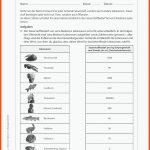 Sekundarstufe Unterrichtsmaterial Biologie Fuer Kohlenhydrate Im überblick Arbeitsblatt Klett Lösungen