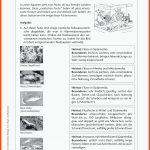 Sekundarstufe Unterrichtsmaterial Biologie Fuer Wie Entstehen Fossilien Arbeitsblatt