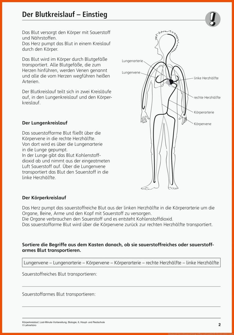 Sekundarstufe Unterrichtsmaterial Biologie KÃ¶rper Und Gesundheit Fuer Herz Arbeitsblatt 6. Klasse