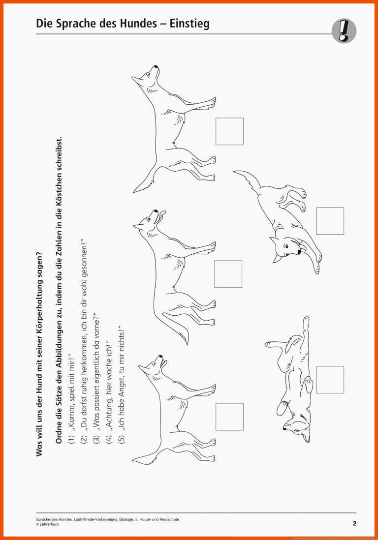 Sekundarstufe Unterrichtsmaterial Biologie Tiere für arbeitsblatt hund klasse 5