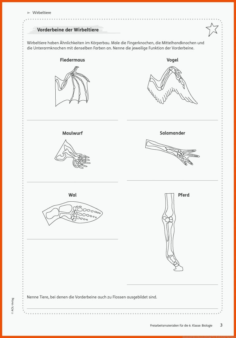 Sekundarstufe Unterrichtsmaterial Biologie Tiere Fuer Arbeitsblatt Vögel Klasse 6