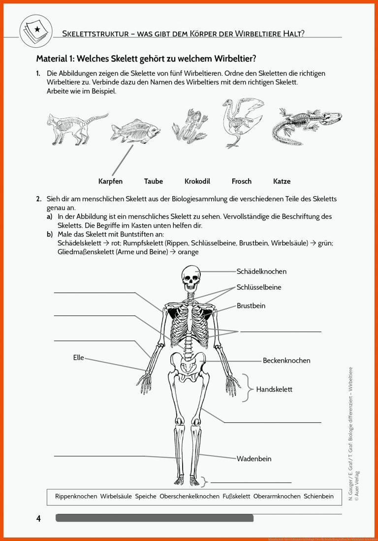 Sekundarstufe Unterrichtsmaterial Biologie Tiere Fuer Beschriftung Aufbau Der Wirbelsäule Arbeitsblatt