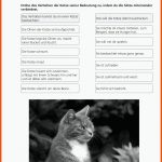 Sekundarstufe Unterrichtsmaterial Biologie Tiere Sprache Der Katze ... Fuer Arbeitsblatt Katze