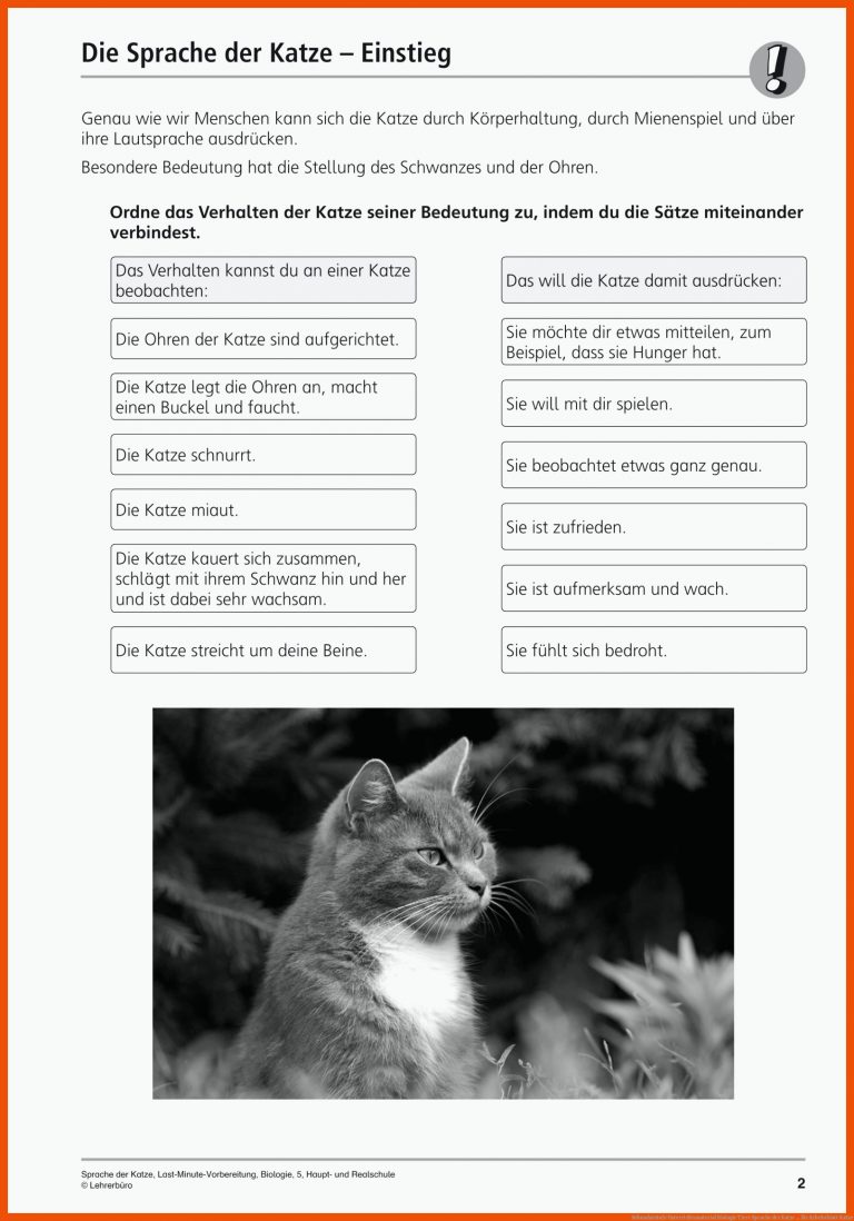 Sekundarstufe Unterrichtsmaterial Biologie Tiere Sprache der Katze ... für arbeitsblatt katze
