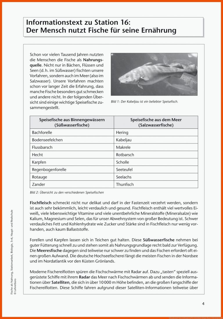 Sekundarstufe Unterrichtsmaterial für arbeitsblatt biologie klasse 5 fische kostenlos